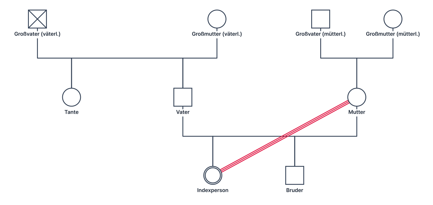 Ein Genogramm über drei Generationen: zwei Großelternpaare, die Eltern und eine Tante väterlicherseits (die ältere Schwester des Vaters), die Indexperson und ihr jüngerer Bruder. Der Großvater väterlicherseits ist als verstorben markiert, Mutter und Indexperson sind mit drei parallelen Linien (verschmolzen) verbunden