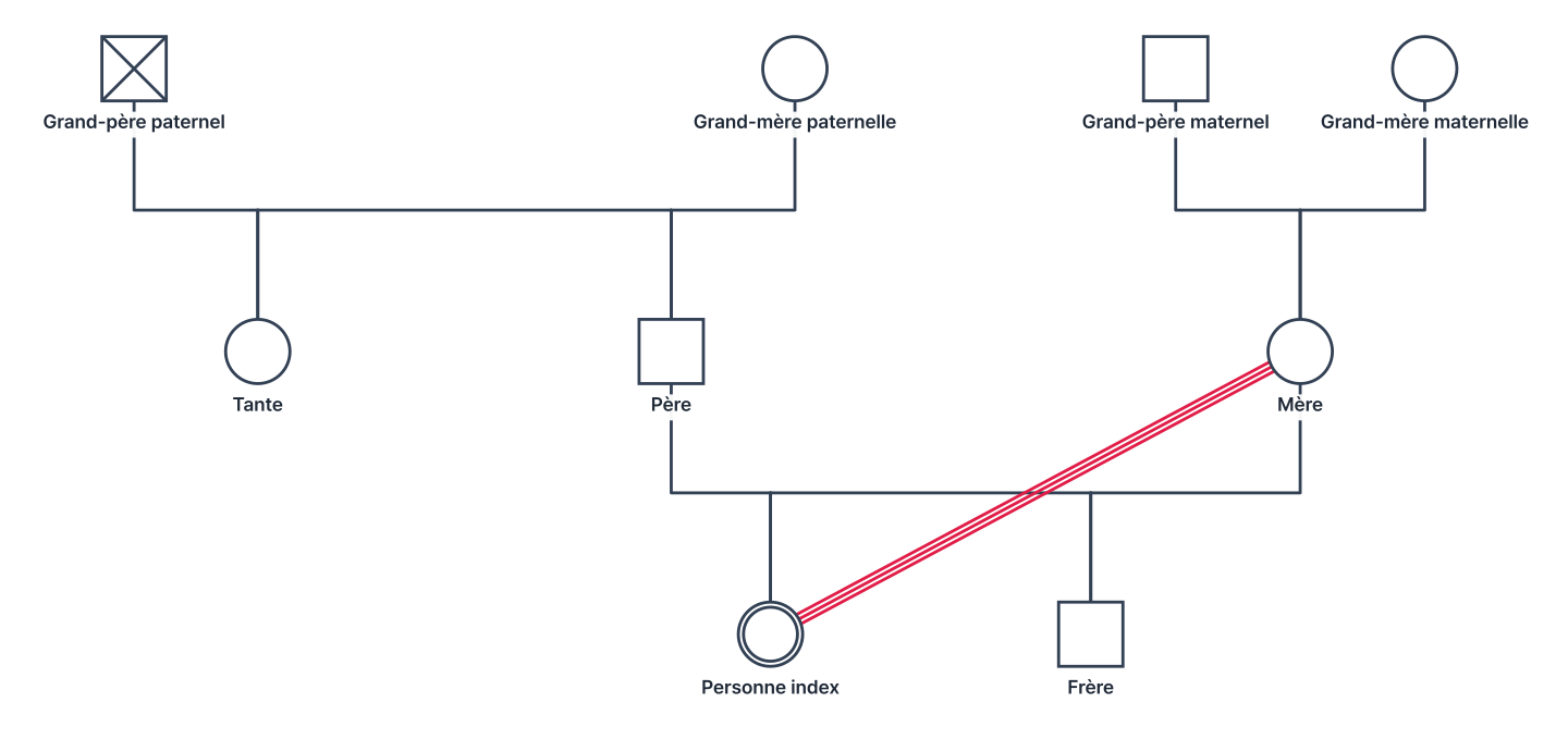 Un génogramme sur trois générations : deux couples de grands-parents, les parents et une tante paternelle (la sœur aînée du père), puis la personne index et son petit frère. Le grand-père paternel est décédé, et la mère et la personne index sont reliées par trois traits parallèles (fusionnel)