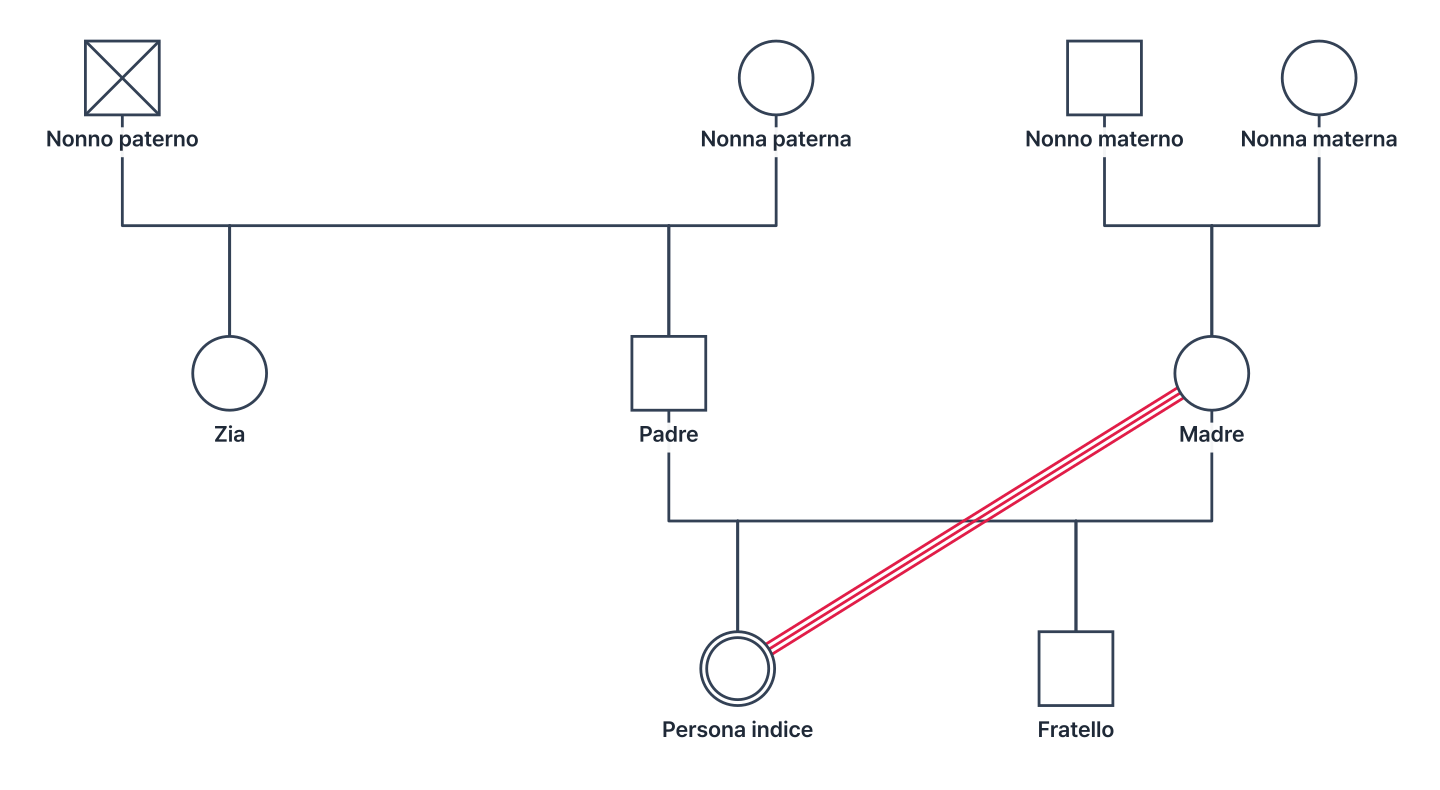 Un genogramma su tre generazioni con due coppie di nonni, i genitori e una zia paterna (la sorella maggiore del padre), la persona indice e il fratello minore. Il nonno paterno è segnato come deceduto, e la madre e la persona indice sono unite da tre linee parallele (fusionale)