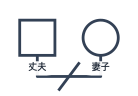 婚姻線中間畫有一條斜線的夫妻